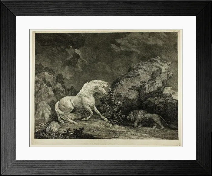 Framed Print : A Horse Affrighted by a Lion, September 25, 1777. Creator: George Stubbs Framed Print : A Horse Affrighted by a Lion, September 25, 1777. Creator: George Stubbs