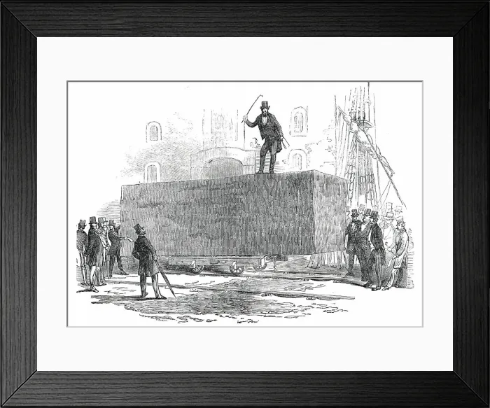 Framed Print : Large Log of Honduras Mahogany, sold at Birkenhead, 1850. Creator: Unknown Framed Print : Large Log of Honduras Mahogany, sold at Birkenhead, 1850. Creator: Unknown