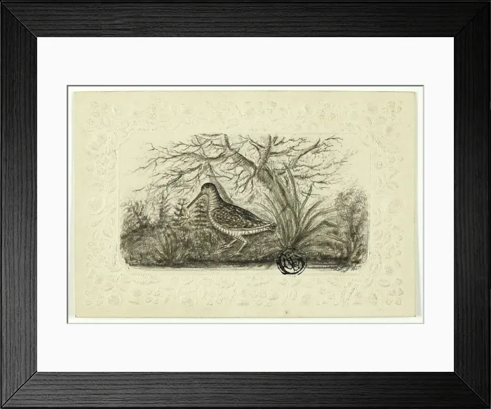 Framed Print : Grouse, n.d. Creator: Henry LeJeune Framed Print : Grouse, n.d. Creator: Henry LeJeune