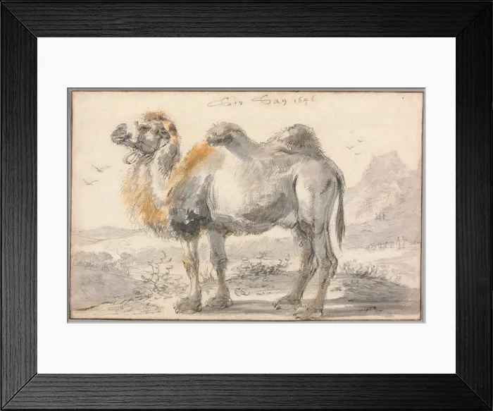 Framed Print : A Camel, 1646. Creator: Cornelis Saftleven Framed Print : A Camel, 1646. Creator: Cornelis Saftleven