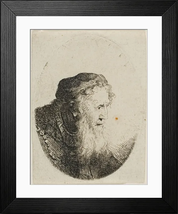 Framed Print : Bearded Old Man in a Skull Cap, n.d. Creator: Ferdinand Bol Framed Print : Bearded Old Man in a Skull Cap, n.d. Creator: Ferdinand Bol