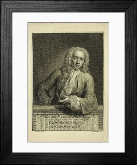 Framed Print : J. Burmannus, n.d. Creator: Jacobus Houbraken Framed Print : J. Burmannus, n.d. Creator: Jacobus Houbraken