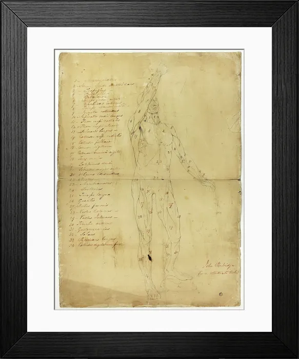 Framed Print : Male Ecorché, c. 1810. Creator: John Partridge Framed Print : Male Ecorché, c. 1810. Creator: John Partridge