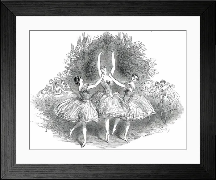 Framed Print : The Pas de Trois des Graces, at Her Majesty's Theatre, 1850. Creator: Smyth. The Pas de Trois des Graces, at Her Majesty's Theatre, 1850. Creator: Smyth Framed Print : The Pas de Trois des Graces, at Her Majesty's Theatre, 1850. Creator: Smyth. The Pas de Trois des Graces, at Her Majesty's Theatre, 1850. Creator: Smyth