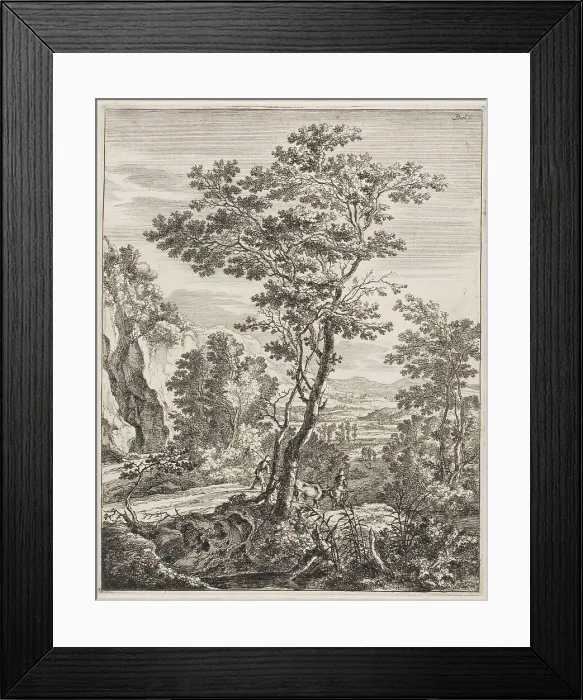Framed Print : The Large Tree, from Upright Italian Landscapes, 1638 / 52. Creator: Jan Dirksz Both Framed Print : The Large Tree, from Upright Italian Landscapes, 1638 / 52. Creator: Jan Dirksz Both