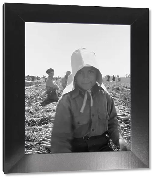 Possibly: Texas woman in carrot pullers camp, Imperial Valley, California, 1939. Creator: Dorothea Lange