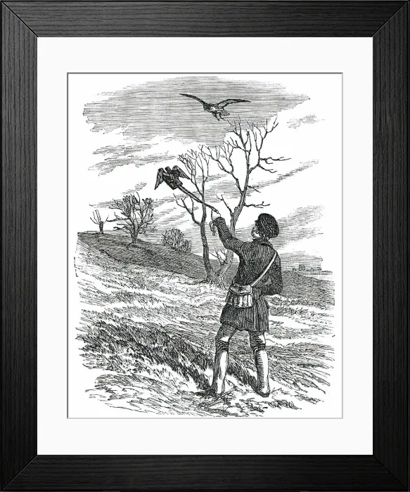 Framed Print : Hawking - the Lure, 1850. Creator: Unknown Framed Print : Hawking - the Lure, 1850. Creator: Unknown