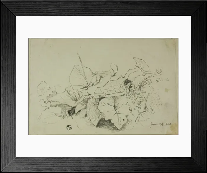Framed Print : Clump of Leaves and Flowers, 1808 / 47. Creator: Joshua Cristall Framed Print : Clump of Leaves and Flowers, 1808 / 47. Creator: Joshua Cristall
