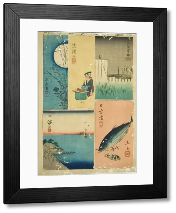 Framed Print : Eitai Bridge, Nihon Bridge, Susaki, Flower Garden, and Dokan Hill (Eitaibashi, Nihonbashi... 1852. Creator: Ando Hiroshige) Framed Print : Eitai Bridge, Nihon Bridge, Susaki, Flower Garden, and Dokan Hill (Eitaibashi, Nihonbashi... 1852. Creator: Ando Hiroshige)