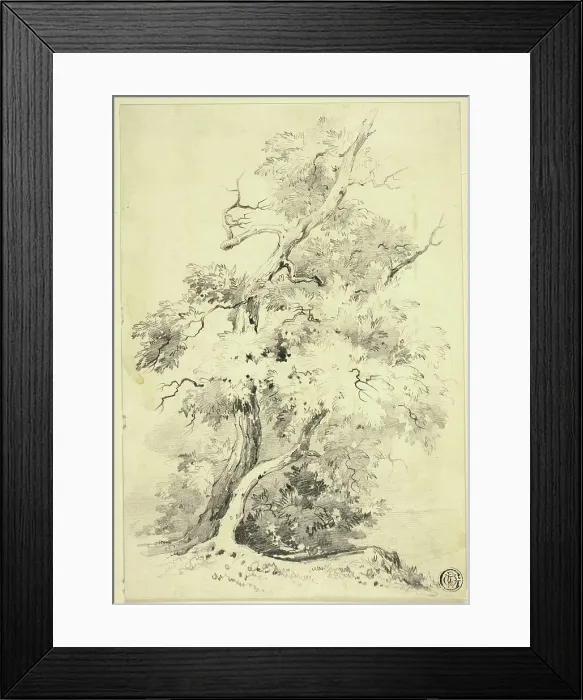 Framed Print : Tree on Bluff Beside Water, n.d. Creator: Joshua Wilson Faulkner Framed Print : Tree on Bluff Beside Water, n.d. Creator: Joshua Wilson Faulkner