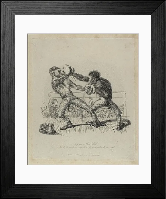 Framed Print : Monkeys Boxing, from Monkey-ana, April 1828. Creator: Thomas Landseer Framed Print : Monkeys Boxing, from Monkey-ana, April 1828. Creator: Thomas Landseer