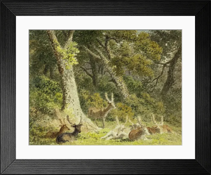 Framed Print : Deer Herd Resting, 1789-1844. Creator: Robert Hills Framed Print : Deer Herd Resting, 1789-1844. Creator: Robert Hills