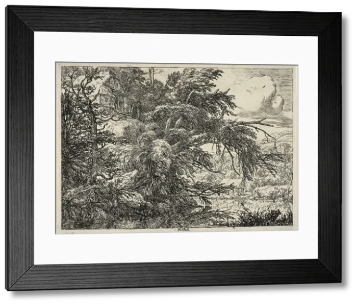 Framed Print : Cottage at the Top of a Hill, c. 1660. Creator: Jacob van Ruisdael Framed Print : Cottage at the Top of a Hill, c. 1660. Creator: Jacob van Ruisdael