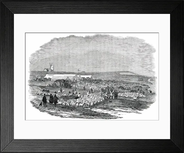 Framed Print : Lewes Great Sheep Fair, 1850. Creator: Unknown Framed Print : Lewes Great Sheep Fair, 1850. Creator: Unknown