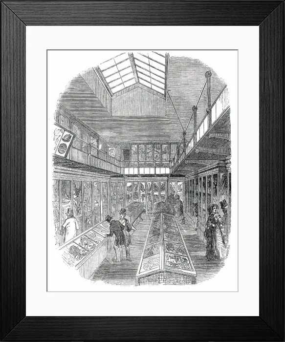 Framed Print : Museum in the Royal Botanic Gardens, at Kew, 1850. Creator: Unknown Framed Print : Museum in the Royal Botanic Gardens, at Kew, 1850. Creator: Unknown