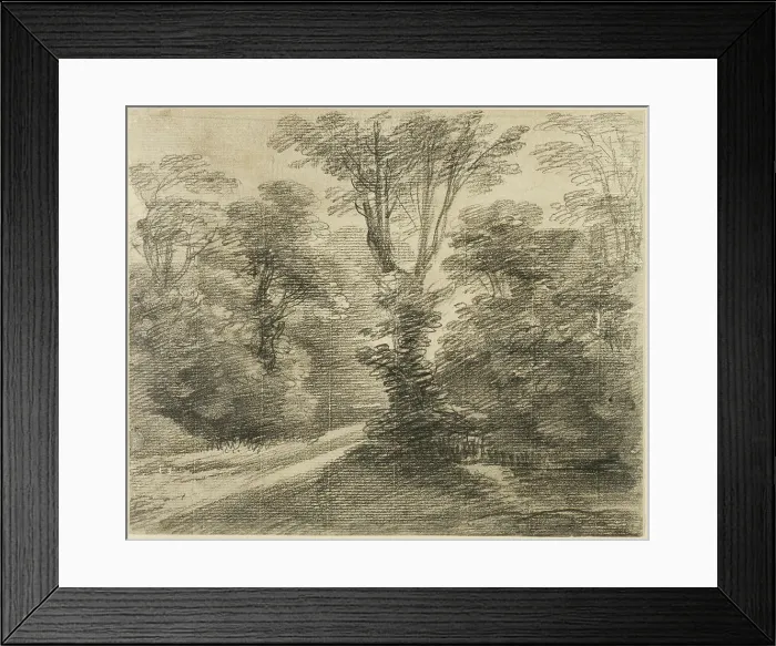 Framed Print : A Sunlit Path through a Wood, 1750 / 59. Creator: Thomas Gainsborough Framed Print : A Sunlit Path through a Wood, 1750 / 59. Creator: Thomas Gainsborough