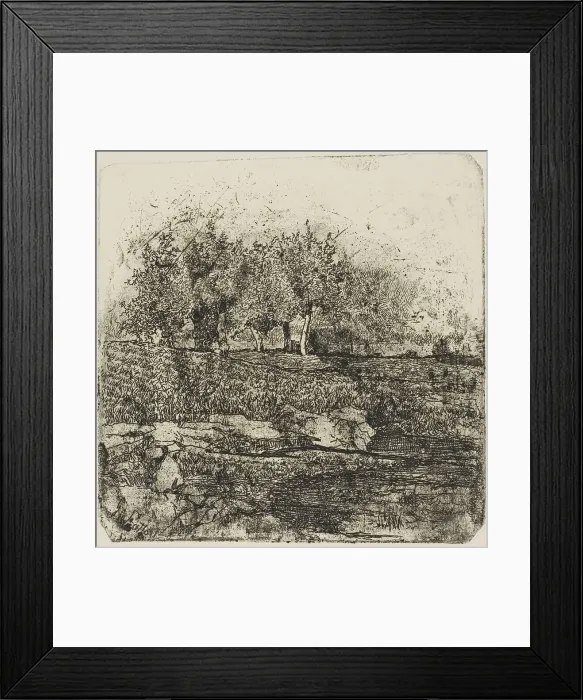 Framed Print : Trees in a Meadow, n.d. Creator: Giovanni Fattori Framed Print : Trees in a Meadow, n.d. Creator: Giovanni Fattori