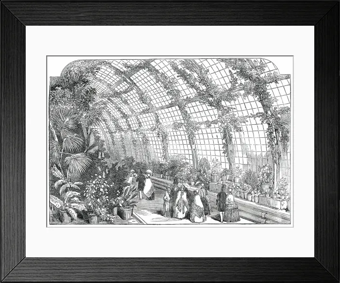 Framed Print : The Great Conservatory in the Gardens of the Horticultural Society, at Chiswick, 1850. Creator: Unknown Framed Print : The Great Conservatory in the Gardens of the Horticultural Society, at Chiswick, 1850. Creator: Unknown