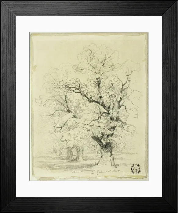Framed Print : Ches[t]nut in Greenwich Park, n.d. Creator: Thomas Creswick