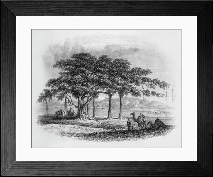 Framed Print : Runjeet Singh's Encampment at Roopur, 1845. Creator: Unknown Framed Print : Runjeet Singh's Encampment at Roopur, 1845. Creator: Unknown