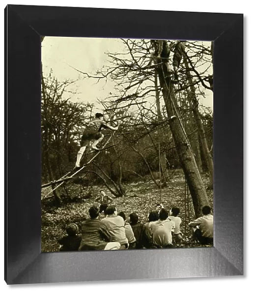 Scouts Practising Pioneering, 1944. Creator: Unknown