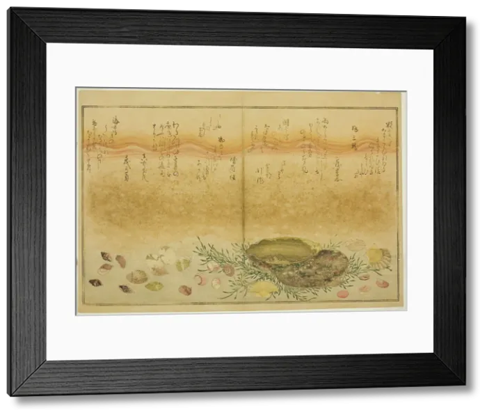 Framed Print : Chidori-gai, itaya-gai, awabi, utsuse-gai, asari-gai, and monoara-gai, from the illustrated...1789. Creator: Kitagawa Utamaro Framed Print : Chidori-gai, itaya-gai, awabi, utsuse-gai, asari-gai, and monoara-gai, from the illustrated...1789. Creator: Kitagawa Utamaro