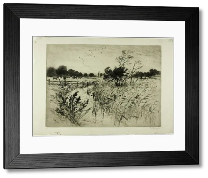 Framed Print : A Windy Day, 1892. Creator: Robert Charles Goff Framed Print : A Windy Day, 1892. Creator: Robert Charles Goff