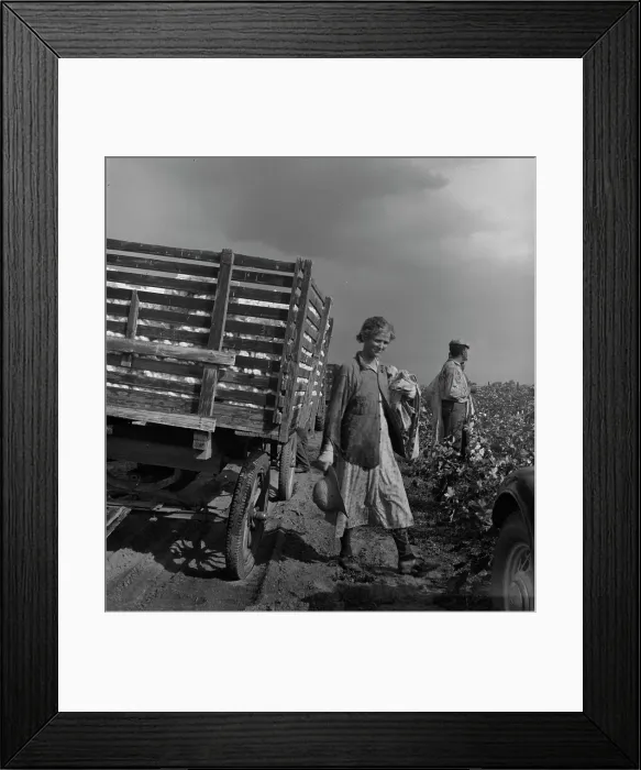 Framed Print : Migratory cotton pickers have stopped working because it started to rain, Kern County, CA, 1938. Creator: Dorothea Lange Framed Print : Migratory cotton pickers have stopped working because it started to rain, Kern County, CA, 1938. Creator: Dorothea Lange