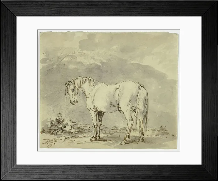 Framed Print : Standing Horse with Head Turned, n.d. Creator: Sawrey Gilpin Framed Print : Standing Horse with Head Turned, n.d. Creator: Sawrey Gilpin
