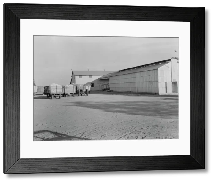 Framed Print : Tulare cooperative cotton gin, Tulare County, California, 1938. Creator: Dorothea Lange Framed Print : Tulare cooperative cotton gin, Tulare County, California, 1938. Creator: Dorothea Lange