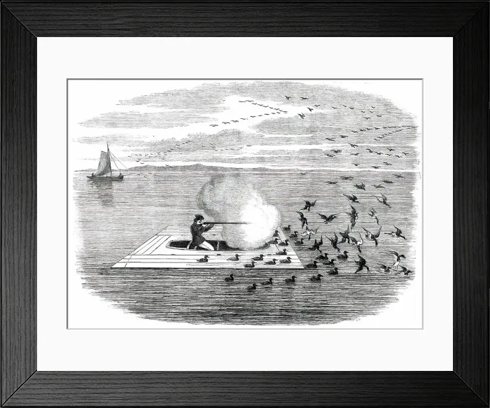 Framed Print : Wild Duck Shooting on the Potomac, 1850. Creator: Unknown Framed Print : Wild Duck Shooting on the Potomac, 1850. Creator: Unknown