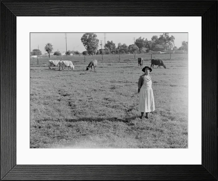 Framed Print : This farm of twelve acres operated as a prune ranch, Tulare County, California, 1938. Creator: Dorothea Lange