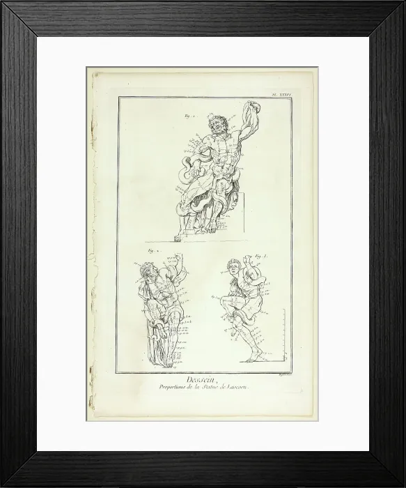 Framed Print : Design: Proportions of the Laocoon statue, from Encyclopédie, 1762 / 77. Creator: A. J. Defehrt Framed Print : Design: Proportions of the Laocoon statue, from Encyclopédie, 1762 / 77. Creator: A. J. Defehrt