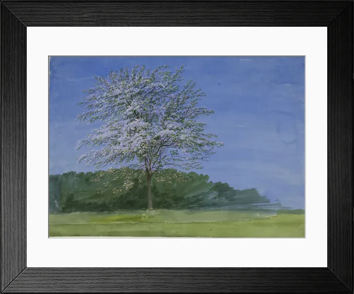 Framed Print : Study of a Tree in Bloom, c. 1835. Creator: William Turner Framed Print : Study of a Tree in Bloom, c. 1835. Creator: William Turner