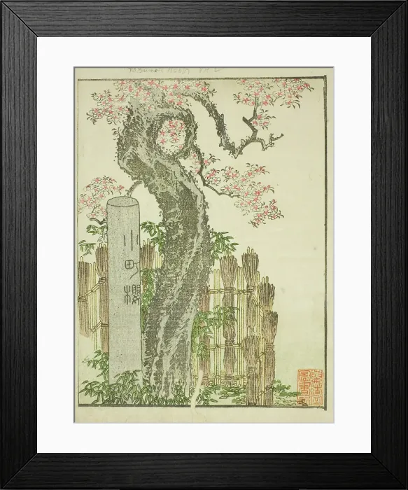 Framed Print : Komachi Cherry Tree (Komachi zakura), from the illustrated book Picture Book of... c. 1802. Creator: Hokusai. Komachi Cherry Tree (Komachi zakura), from the illustrated book Picture Book of... c. 1802. Creator: Hokusai Framed Print : Komachi Cherry Tree (Komachi zakura), from the illustrated book Picture Book of... c. 1802. Creator: Hokusai. Komachi Cherry Tree (Komachi zakura), from the illustrated book Picture Book of... c. 1802. Creator: Hokusai