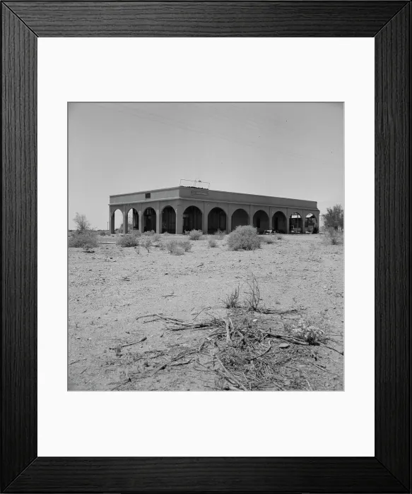 Framed Print : Aftermath of irrigation boom and subsequent collapse of cotton, Nyland, California, 1937. Creator: Dorothea Lange Framed Print : Aftermath of irrigation boom and subsequent collapse of cotton, Nyland, California, 1937. Creator: Dorothea Lange