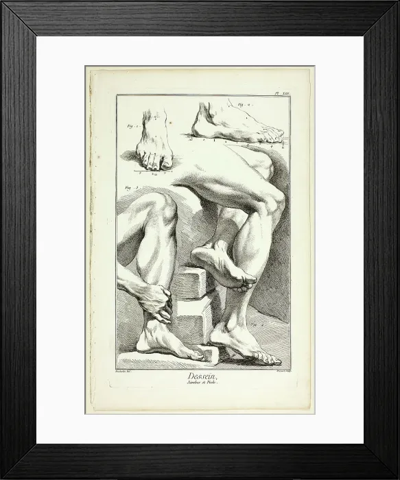 Framed Print : Design: Legs and Feet, from Encyclopédie, 1762 / 77. Creator: Benoit-Louis Prevost Framed Print : Design: Legs and Feet, from Encyclopédie, 1762 / 77. Creator: Benoit-Louis Prevost