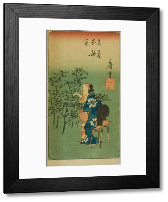 Framed Print : Fuchu, section of sheet no. 5 from the series Cutouts of the Fifty-three Stations... 1852. Creator: Ando Hiroshige. Fuchu, section of sheet no. 5 from the series Cutouts of the Fifty-three Stations... 1852. Creator: Ando Hiroshige