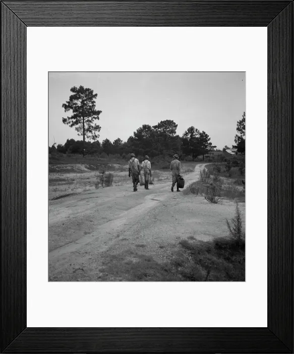 Framed Print : Three turpentine dippers, Georgia, 1937. Creator: Dorothea Lange. Three turpentine dippers, Georgia, 1937. Creator: Dorothea Lange Framed Print : Three turpentine dippers, Georgia, 1937. Creator: Dorothea Lange. Three turpentine dippers, Georgia, 1937. Creator: Dorothea Lange