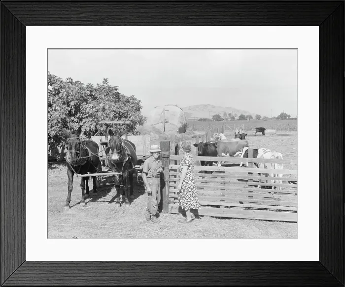 Framed Print : Rural rehabilitation, Tulare County, California, 1938. Creator: Dorothea Lange Framed Print : Rural rehabilitation, Tulare County, California, 1938. Creator: Dorothea Lange