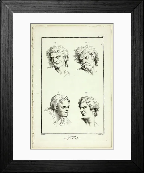 Framed Print : Drawing: Expressions of Emotion (Hate or Jealousy, Anger, Desire, Physical Pain), from... 1762 / 77. Creator: A. J. Defehrt