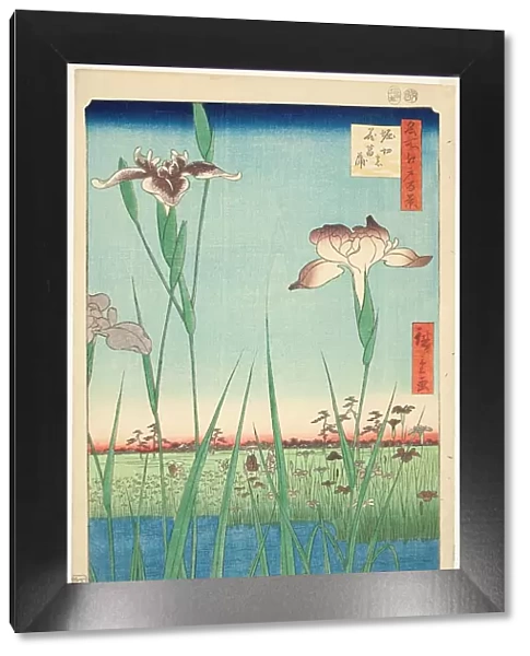 Irises at Horikiri (Horikiri no hanashobu), from the series 'One Hundred Famous Views... 1857. Creator: Ando Hiroshige. Irises at Horikiri (Horikiri no hanashobu), from the series 'One Hundred Famous Views... 1857. Creator: Ando Hiroshige