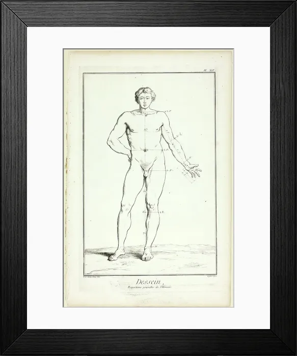 Framed Print : Design: General Proportions of the Male, from Encyclopédie, 1762 / 77. Creator: A. J. Defehrt Framed Print : Design: General Proportions of the Male, from Encyclopédie, 1762 / 77. Creator: A. J. Defehrt