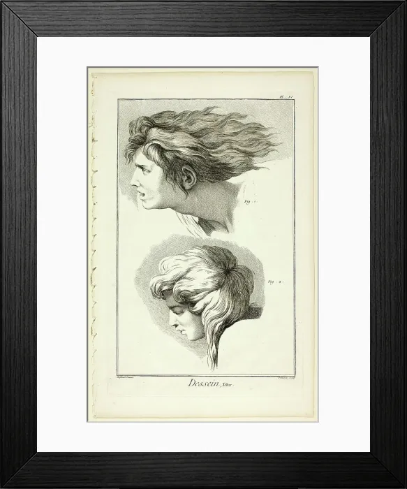 Framed Print : Design: Heads, from Encyclopédie, 1762 / 77. Creator: Benoit-Louis Prevost Framed Print : Design: Heads, from Encyclopédie, 1762 / 77. Creator: Benoit-Louis Prevost