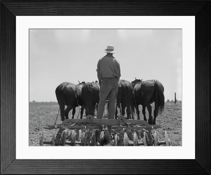 Framed Print : Disc drawn by seven horses used in the cornfields of California, Tulare County, California, 1937. Creator: Dorothea Lange Framed Print : Disc drawn by seven horses used in the cornfields of California, Tulare County, California, 1937. Creator: Dorothea Lange