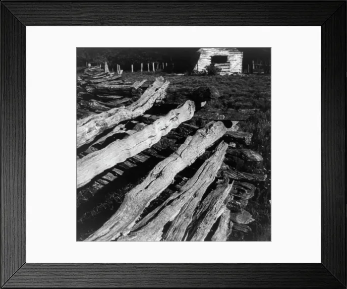 Framed Print : Split-log fence, North central Arkansas, along U.S. 62, 1938. Creator: Dorothea Lange Framed Print : Split-log fence, North central Arkansas, along U.S. 62, 1938. Creator: Dorothea Lange