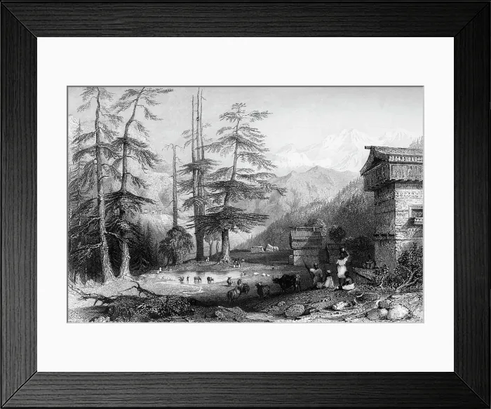 Framed Print : Village of Koghera & Deodar Forest, 1845. Creator: Unknown. Village of Koghera & Deodar Forest, 1845. Creator: Unknown Framed Print : Village of Koghera & Deodar Forest, 1845. Creator: Unknown. Village of Koghera & Deodar Forest, 1845. Creator: Unknown