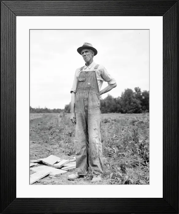 Framed Print : One of the evicted sharecroppers from Arkansas now settled at Hill House, Mississippi, 1936. Creator: Dorothea Lange Framed Print : One of the evicted sharecroppers from Arkansas now settled at Hill House, Mississippi, 1936. Creator: Dorothea Lange
