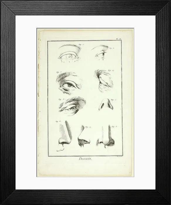 Framed Print : Design: Facial Anatomy from Encyclopédie, 1762 / 77. Creator: Benoit-Louis Prevost Framed Print : Design: Facial Anatomy from Encyclopédie, 1762 / 77. Creator: Benoit-Louis Prevost