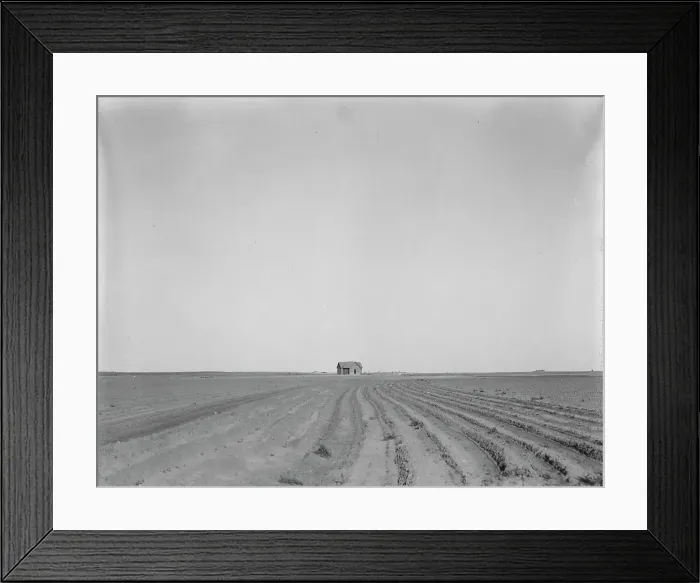 Framed Print : Abandoned tenant house, seen across tractored cotton fields, Childress County, Texas, 1937. Creator: Dorothea Lange Framed Print : Abandoned tenant house, seen across tractored cotton fields, Childress County, Texas, 1937. Creator: Dorothea Lange